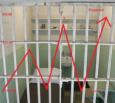 Private Prisons
